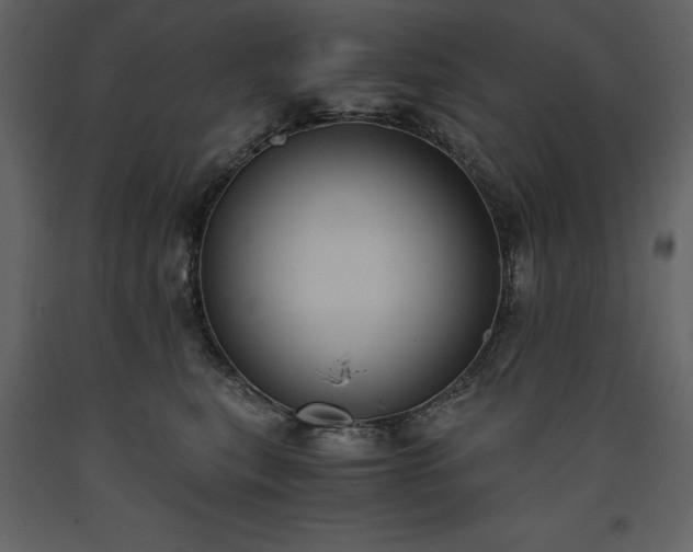 X0000093610567200710221609