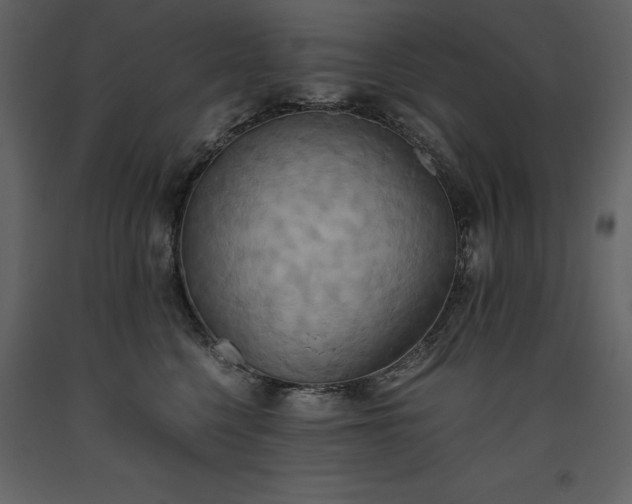 X0000093610568200710221609