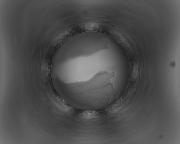 X0000093610569200710221609