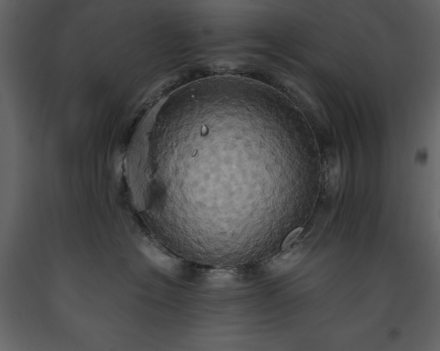 X0000093610574200710221609
