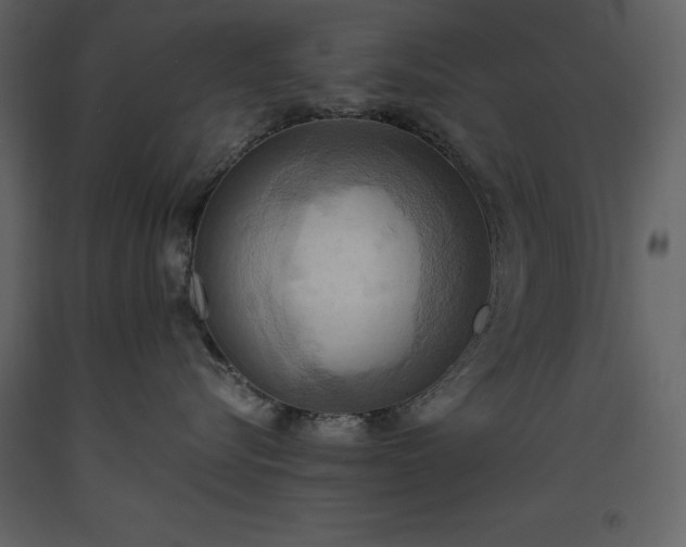 X0000093610576200710221609