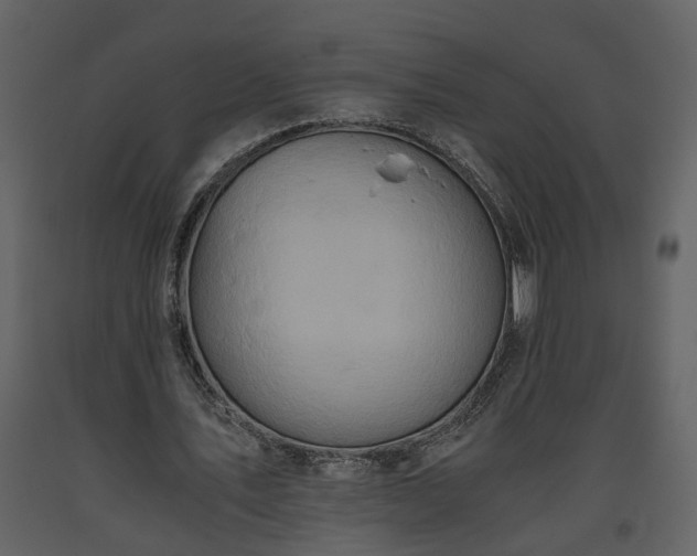 X0000093610579200710221609