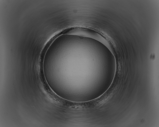 X0000093610580200710221609