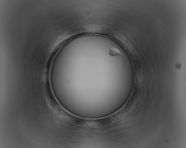 X0000093610583200710221609