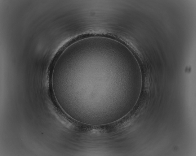 X0000093610584200710221609