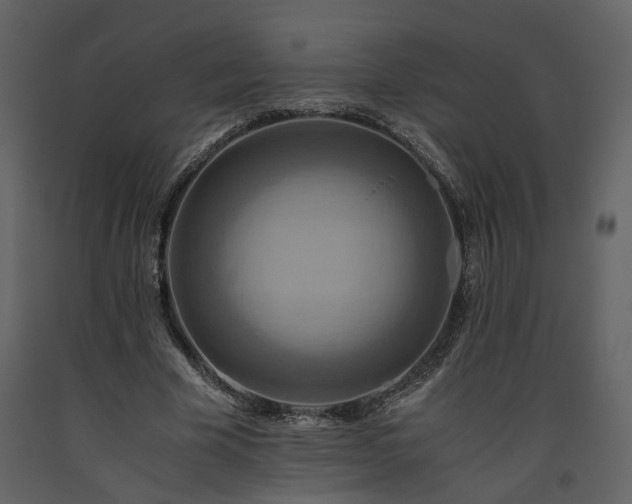 X0000093610585200710221609