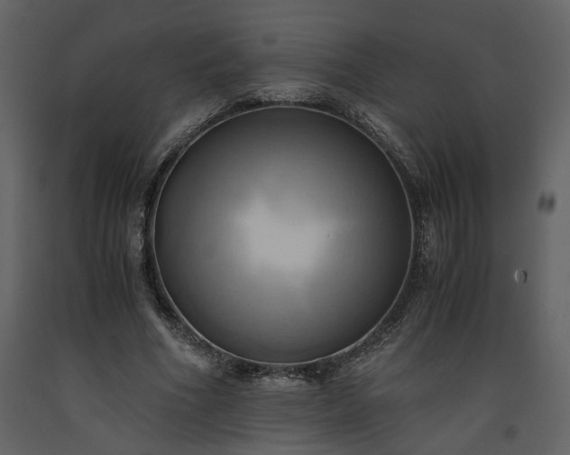 X0000093610586200710221609