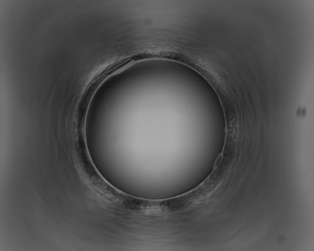 X0000093610587200710221609