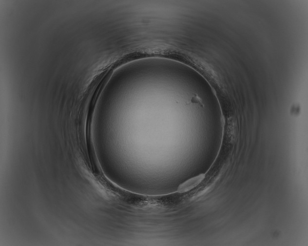 X0000093610589200710221609