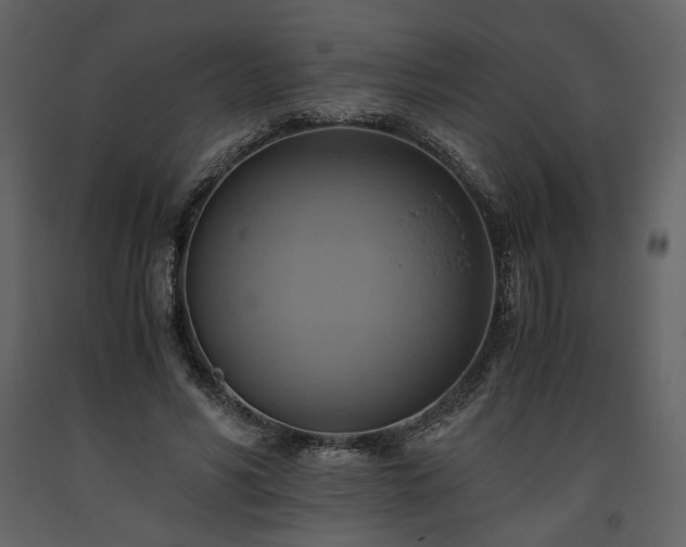 X0000093610590200710221609