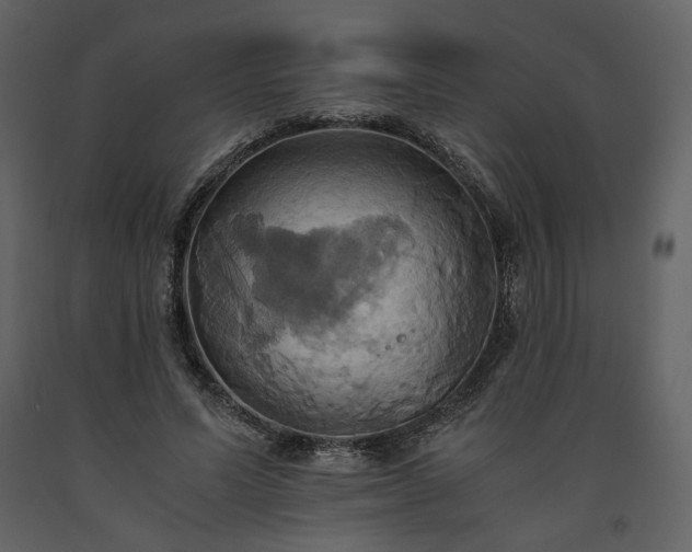 X0000093610591200710221609