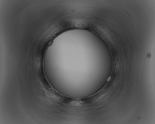X0000093610595200710221609