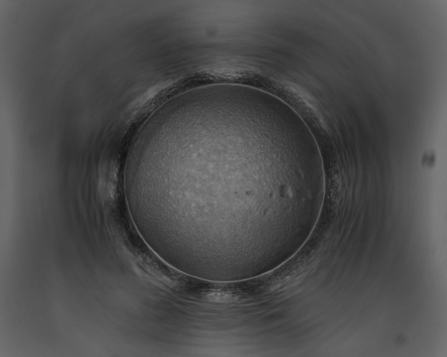X0000093610596200710221609