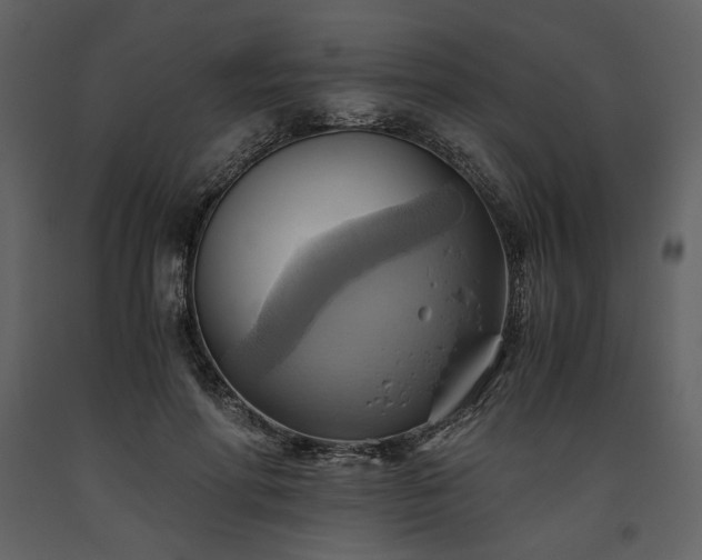 X0000093610598200710221609