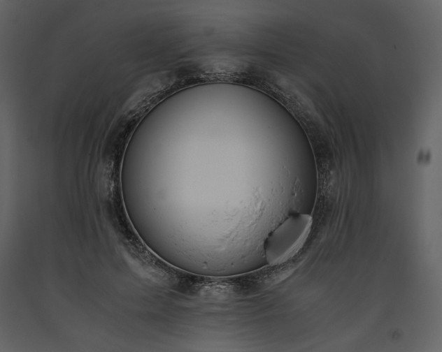 X0000093610599200710221609