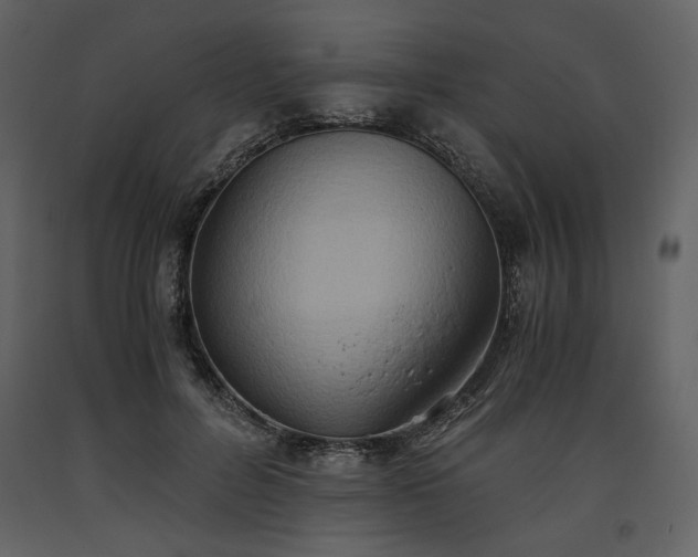 X0000093610600200710221609
