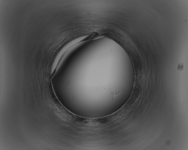 X0000093610601200710221608