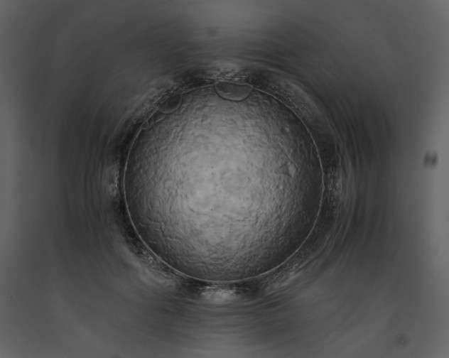 X0000093610602200710221608