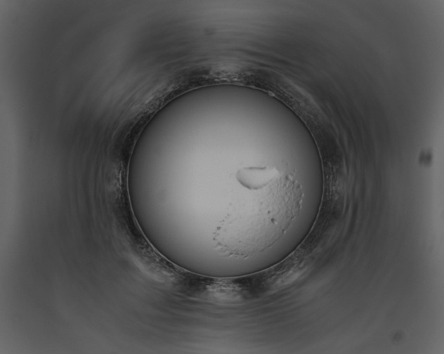 X0000093610603200710221608