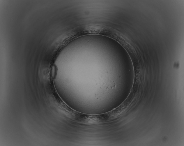 X0000093610604200710221608