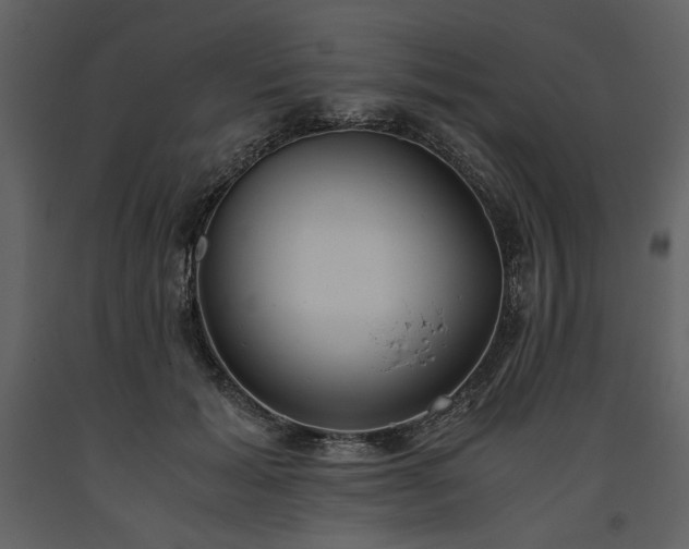 X0000093610605200710221608
