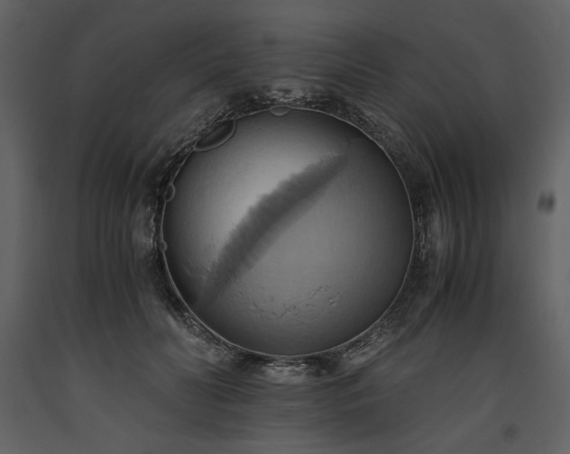 X0000093610606200710221608