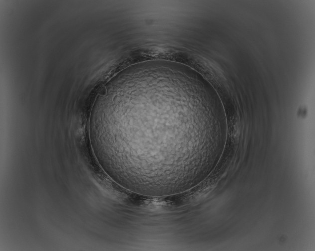 X0000093610607200710221608