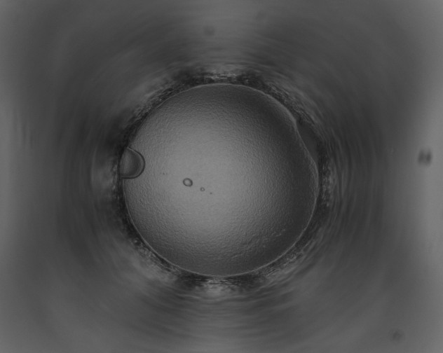 X0000093610608200710221608