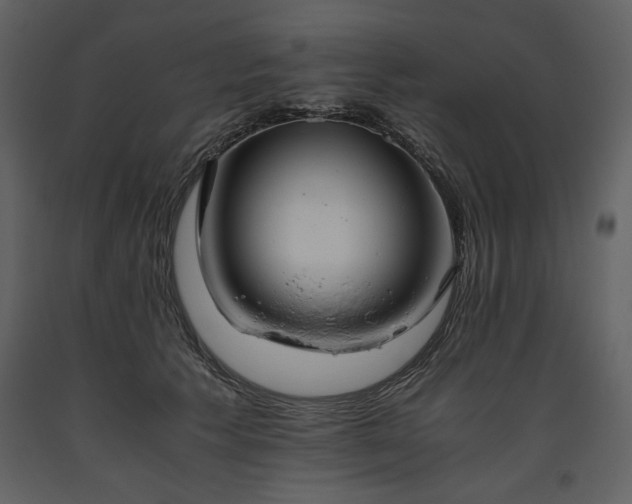 X0000093610609200710221608