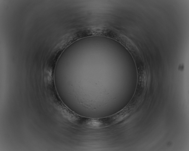X0000093610610200710221608
