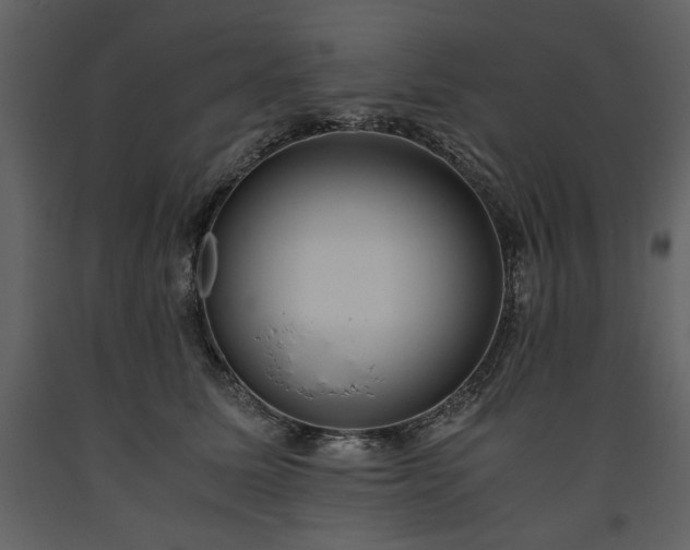 X0000093610611200710221608