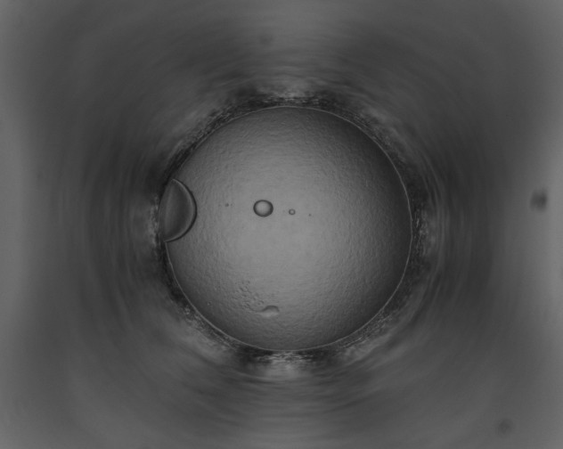 X0000093610612200710221608