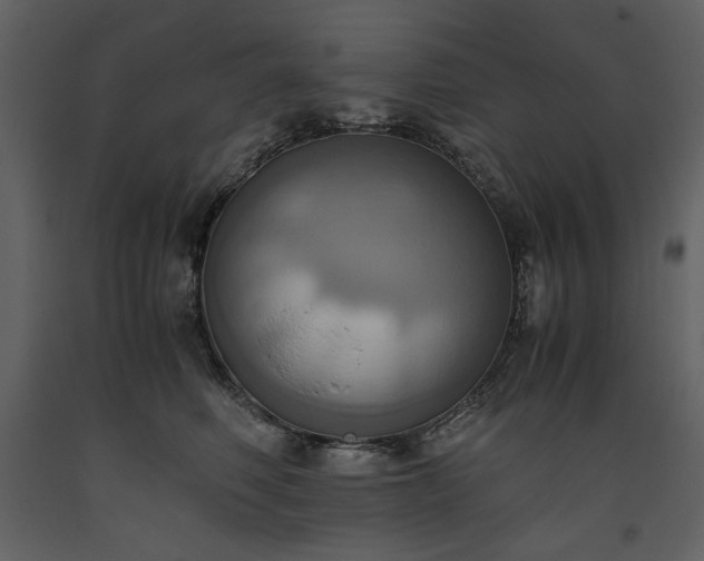 X0000093610614200710221608
