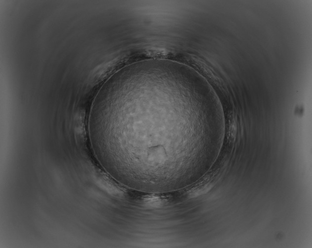 X0000093610616200710221608