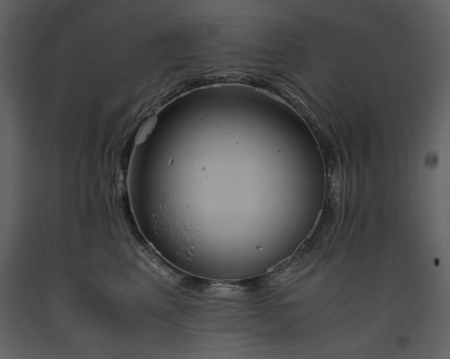 X0000093610617200710221608