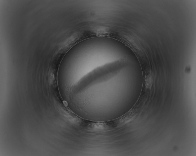 X0000093610618200710221608