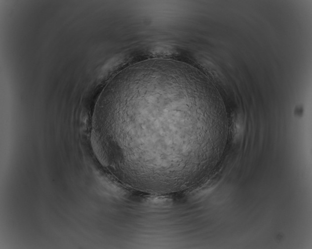 X0000093610619200710221608