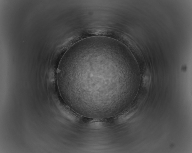 X0000093610620200710221608