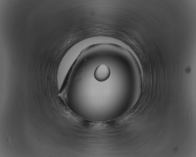 X0000093610621200710221608