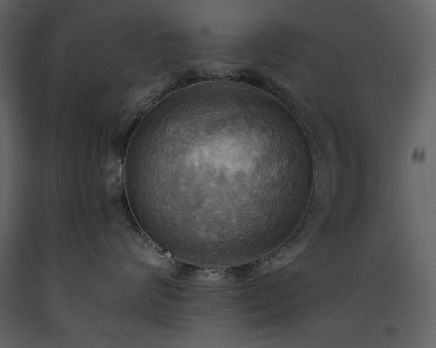 X0000093610624200710221608