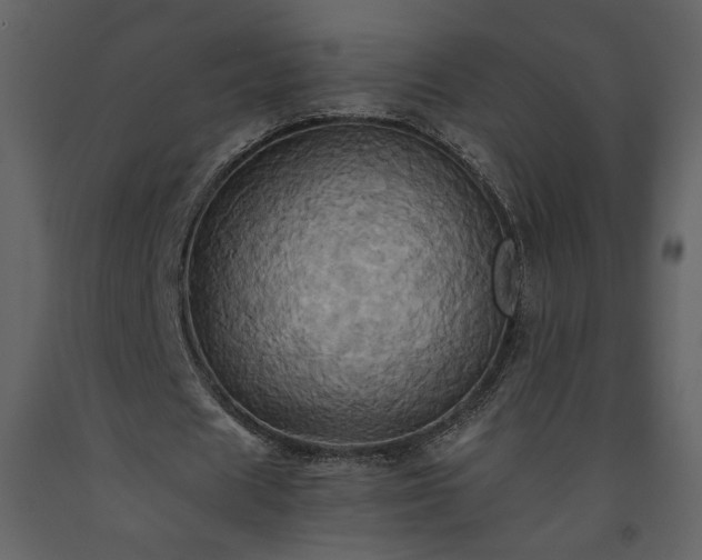 X0000093610625200710221607