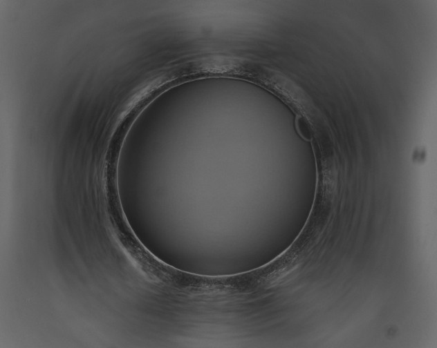 X0000093610626200710221607