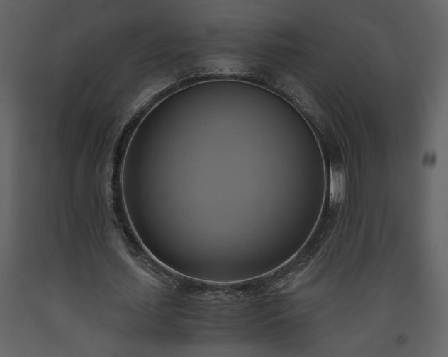 X0000093610627200710221607
