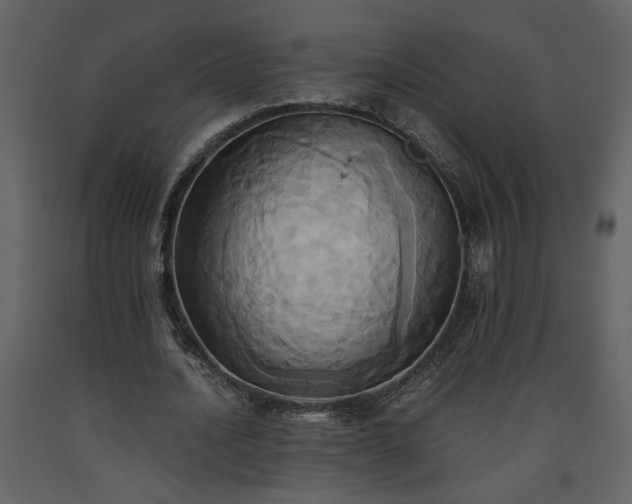 X0000093610628200710221607
