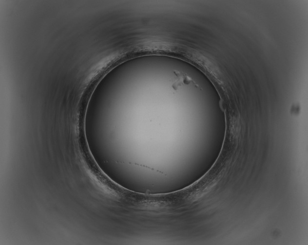 X0000093610629200710221607