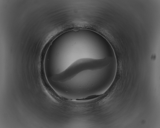 X0000093610630200710221607