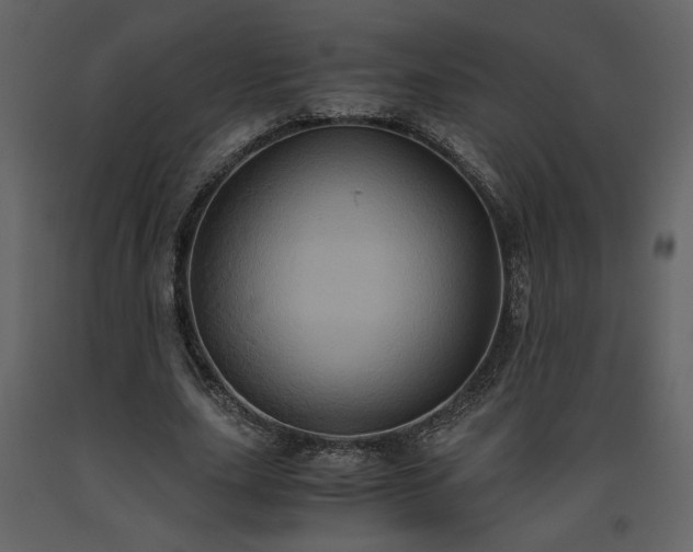 X0000093610631200710221608