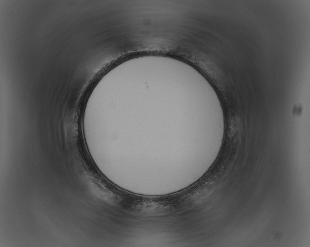 X0000093610632200710221608