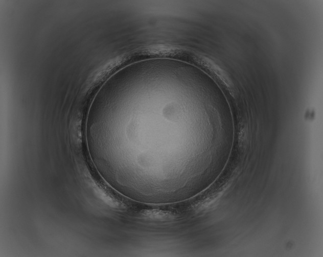 X0000093610633200710221608
