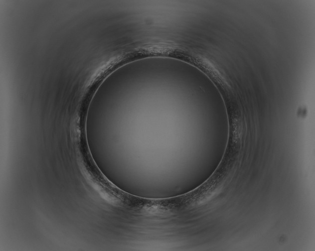 X0000093610634200710221608